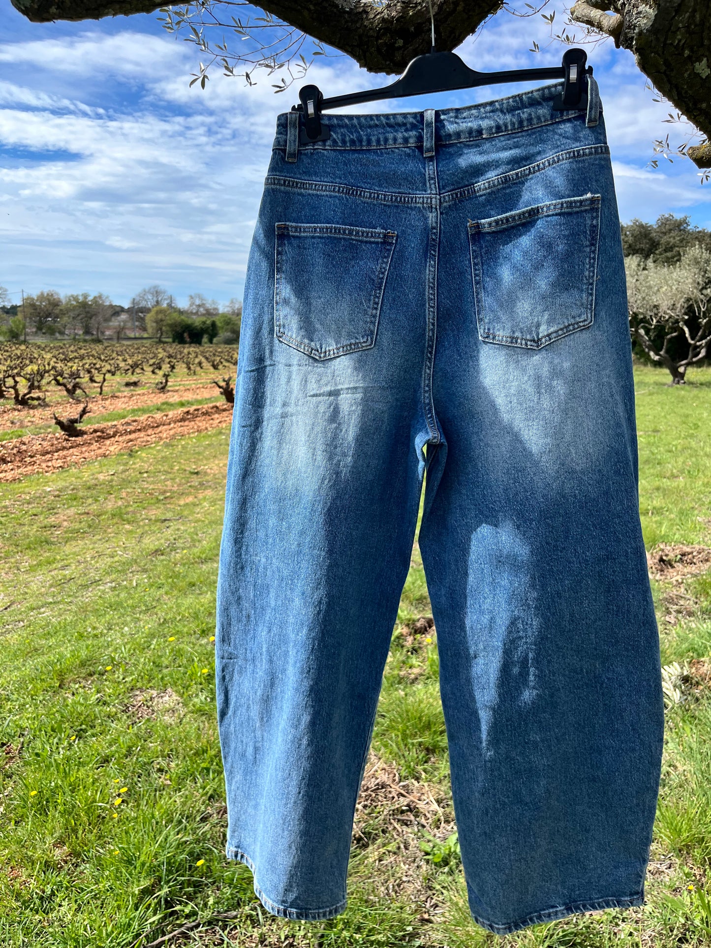 Jean MILO